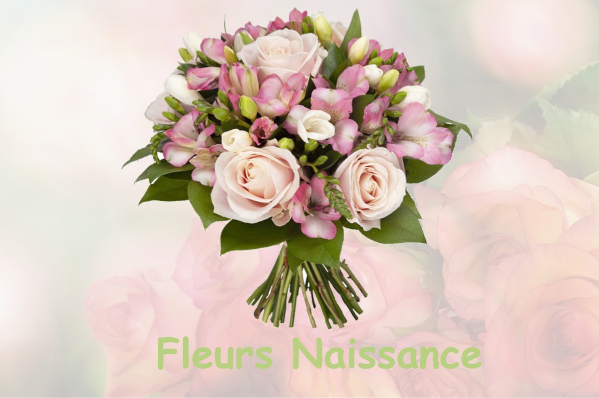 fleurs naissance EGUILLES