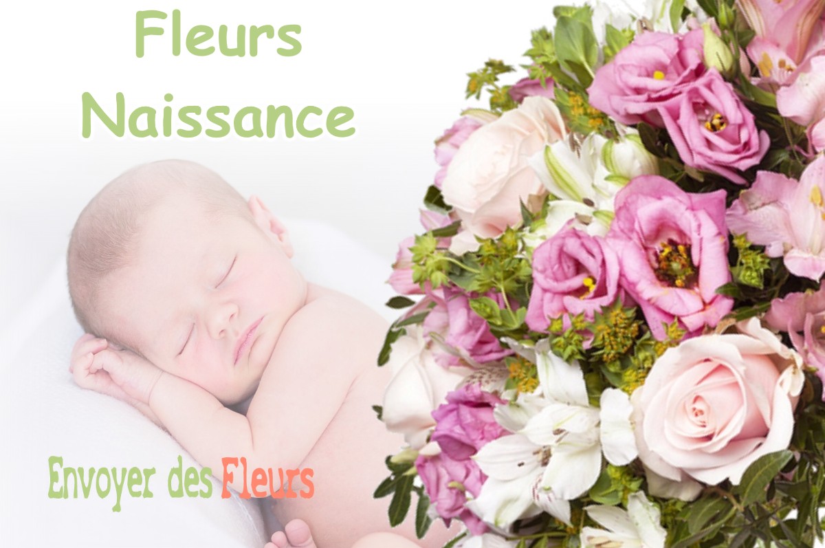 lIVRAISON FLEURS NAISSANCE à EGUILLES